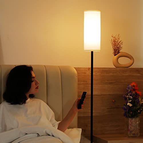 Modern Ambimall Floor Lamps for Living Room, 64"